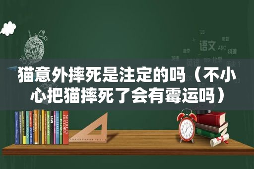 猫意外摔死是注定的吗（不小心把猫摔死了会有霉运吗）