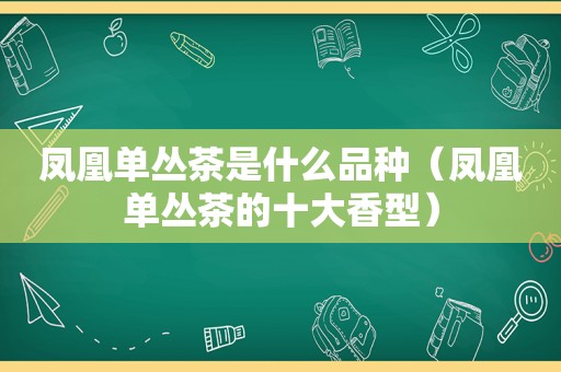 凤凰单丛茶是什么品种（凤凰单丛茶的十大香型）