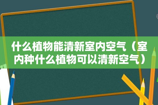 什么植物能清新室内空气（室内种什么植物可以清新空气）