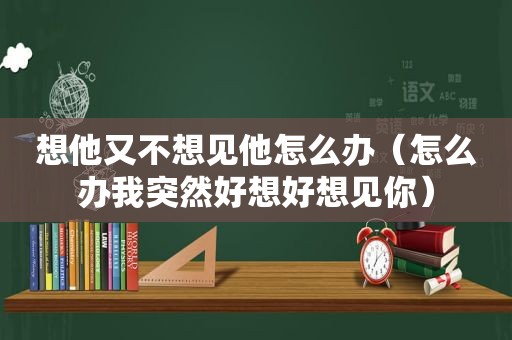 想他又不想见他怎么办（怎么办我突然好想好想见你）