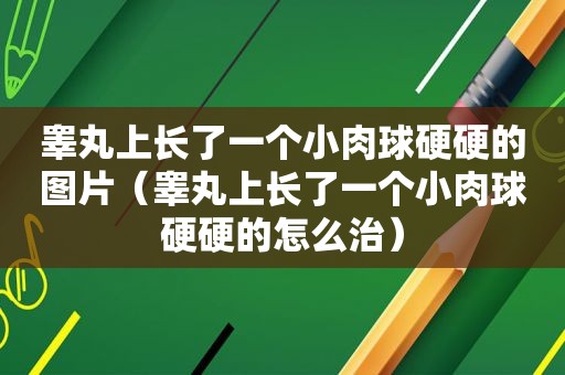 睾丸上长了一个小肉球硬硬的图片（睾丸上长了一个小肉球硬硬的怎么治）