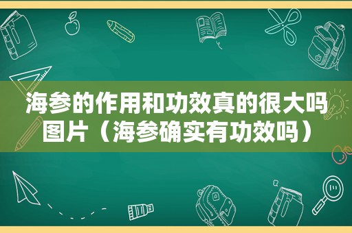 海参的作用和功效真的很大吗图片（海参确实有功效吗）