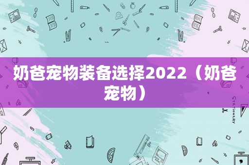 奶爸宠物装备选择2022（奶爸宠物）