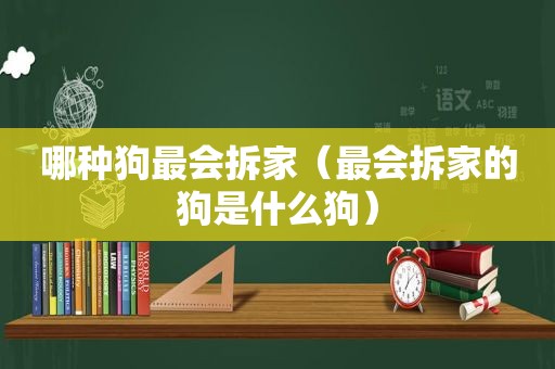 哪种狗最会拆家（最会拆家的狗是什么狗）