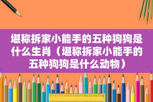 堪称拆家小能手的五种狗狗是什么生肖（堪称拆家小能手的五种狗狗是什么动物）