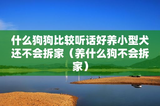 什么狗狗比较听话好养小型犬还不会拆家（养什么狗不会拆家）