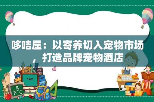 哆咭屋：以寄养切入宠物市场，打造品牌宠物酒店