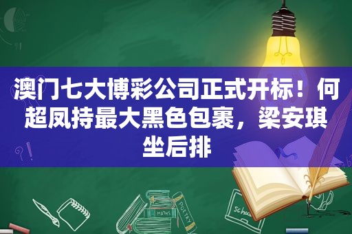 澳门七大 *** 公司正式开标！何超凤持最大黑色包裹，梁安琪坐后排