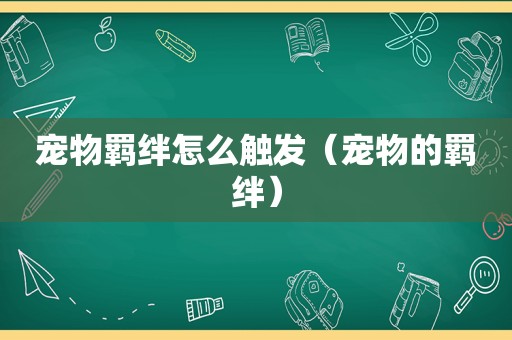 宠物羁绊怎么触发（宠物的羁绊）