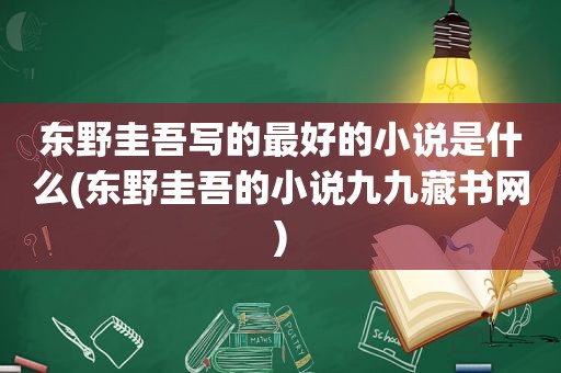 东野圭吾写的最好的小说是什么(东野圭吾的小说九九藏书网)