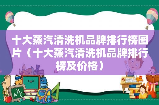 十大蒸汽清洗机品牌排行榜图片（十大蒸汽清洗机品牌排行榜及价格）