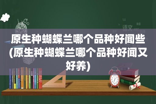 原生种蝴蝶兰哪个品种好闻些(原生种蝴蝶兰哪个品种好闻又好养)