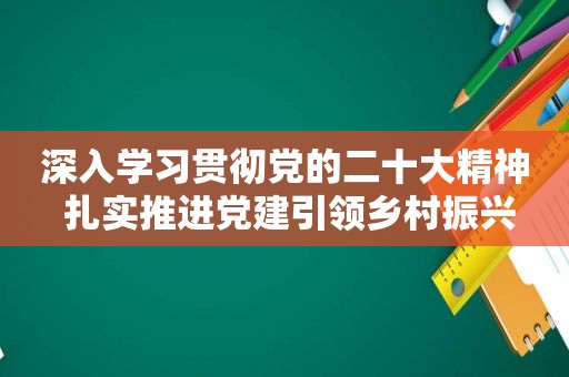 深入学习贯彻党的二十大精神 扎实推进党建引领乡村振兴