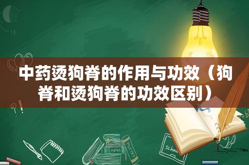 中药烫狗脊的作用与功效（狗脊和烫狗脊的功效区别）