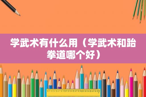 学武术有什么用（学武术和跆拳道哪个好）