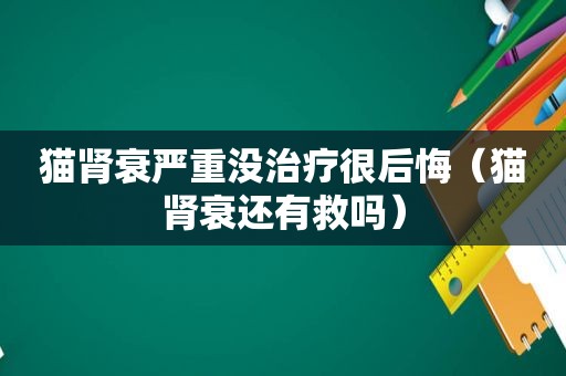 猫肾衰严重没治疗很后悔（猫肾衰还有救吗）