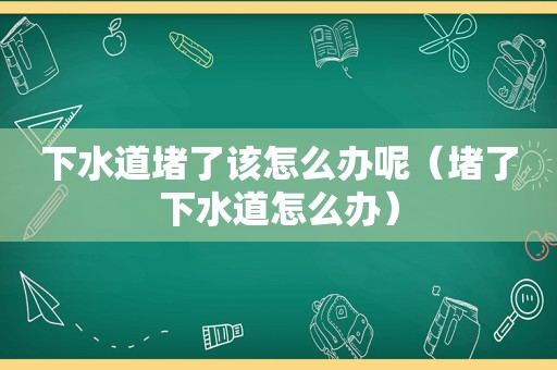 下水道堵了该怎么办呢（堵了下水道怎么办）