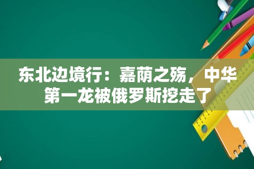 东北边境行：嘉荫之殇，中华第一龙被俄罗斯挖走了