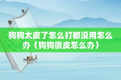 狗狗太皮了怎么打都没用怎么办（狗狗很皮怎么办）