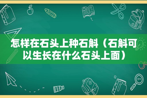 怎样在石头上种石斛（石斛可以生长在什么石头上面）