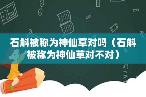 石斛被称为神仙草对吗（石斛被称为神仙草对不对）