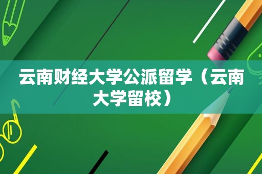 云南财经大学公派留学（云南大学留校）