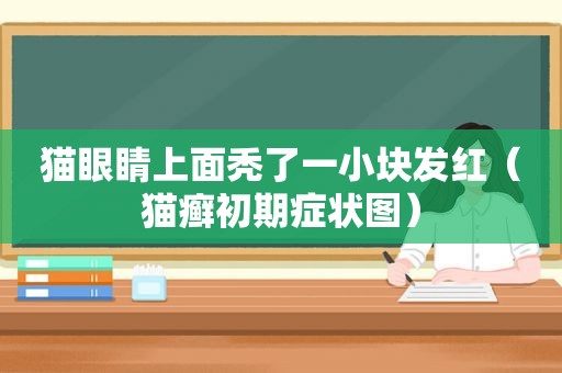 猫眼睛上面秃了一小块发红（猫癣初期症状图）