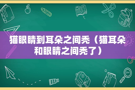 猫眼睛到耳朵之间秃（猫耳朵和眼睛之间秃了）