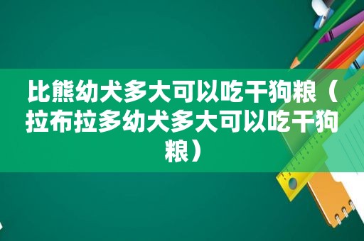 比熊幼犬多大可以吃干狗粮（拉布拉多幼犬多大可以吃干狗粮）