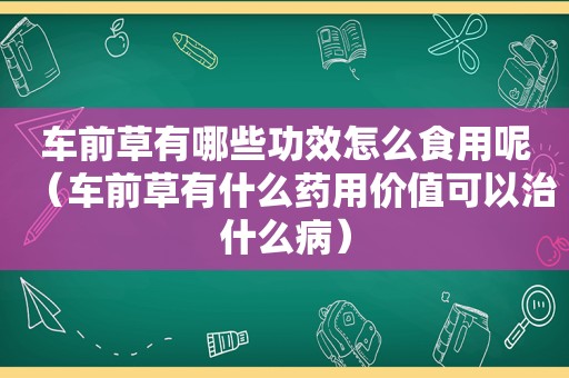 车前草有哪些功效怎么食用呢（车前草有什么药用价值可以治什么病）