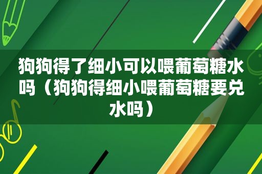 狗狗得了细小可以喂葡萄糖水吗（狗狗得细小喂葡萄糖要兑水吗）