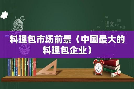 料理包市场前景（中国最大的料理包企业）