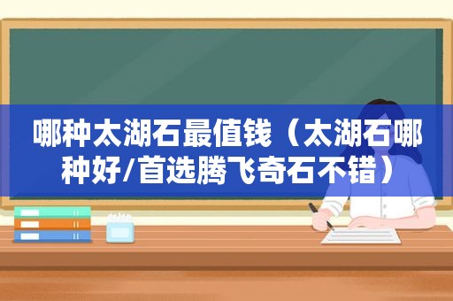 哪种太湖石最值钱（太湖石哪种好/首选腾飞奇石不错）