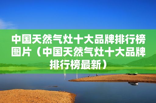 中国天然气灶十大品牌排行榜图片（中国天然气灶十大品牌排行榜最新）