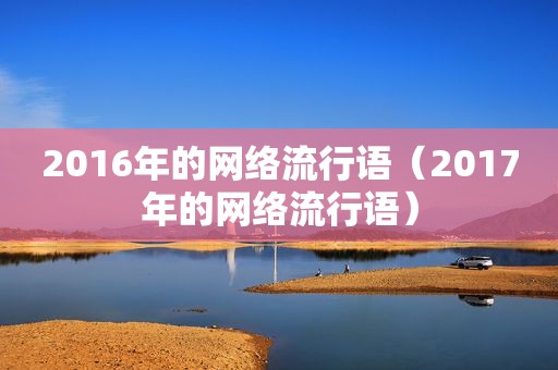 2016年的网络流行语（2017年的网络流行语）