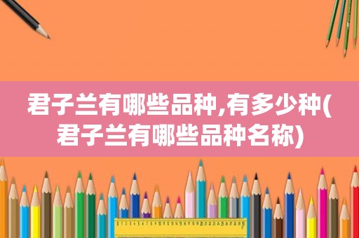 君子兰有哪些品种,有多少种(君子兰有哪些品种名称)