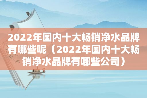 2022年国内十大畅销净水品牌有哪些呢（2022年国内十大畅销净水品牌有哪些公司）