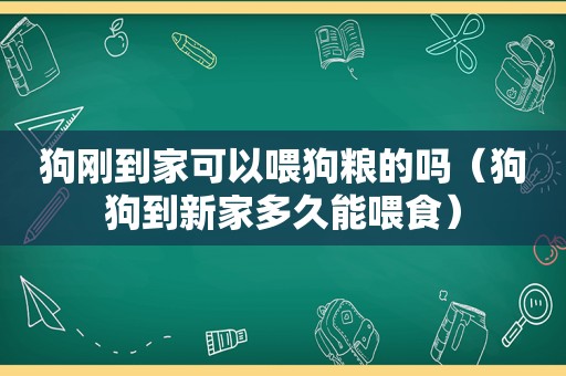 狗刚到家可以喂狗粮的吗（狗狗到新家多久能喂食）