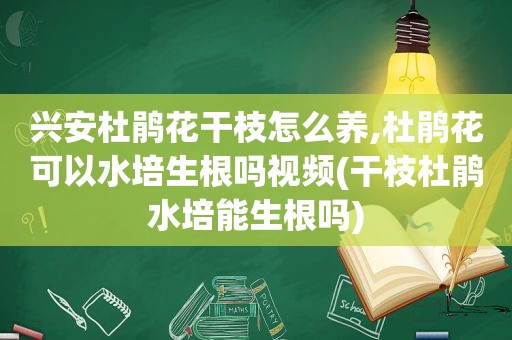 兴安杜鹃花干枝怎么养,杜鹃花可以水培生根吗视频(干枝杜鹃水培能生根吗)