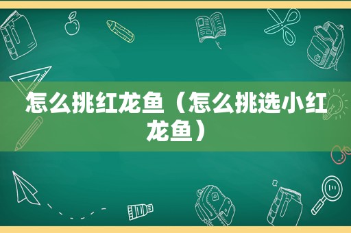 怎么挑红龙鱼（怎么挑选小红龙鱼）