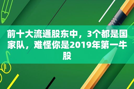 前十大流通股东中，3个都是国家队，难怪你是2019年第一牛股