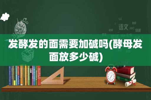 发酵发的面需要加碱吗(酵母发面放多少碱)