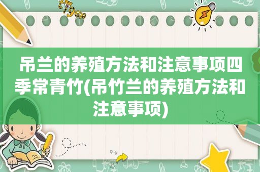 吊兰的养殖方法和注意事项四季常青竹(吊竹兰的养殖方法和注意事项)