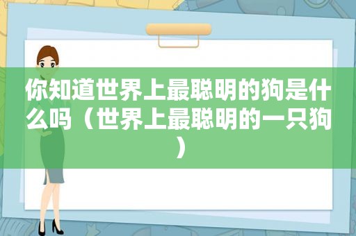 你知道世界上最聪明的狗是什么吗（世界上最聪明的一只狗）