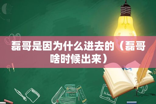 磊哥是因为什么进去的（磊哥啥时候出来）