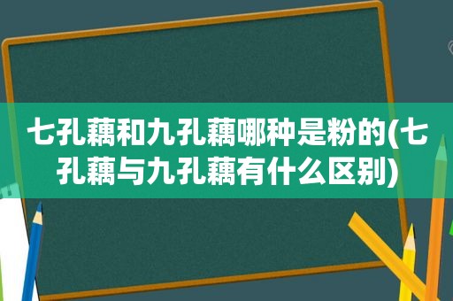 七孔藕和九孔藕哪种是粉的(七孔藕与九孔藕有什么区别)