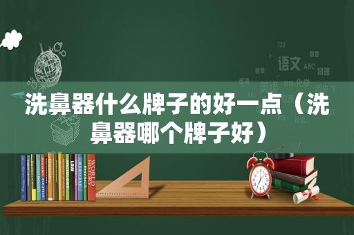 洗鼻器什么牌子的好一点（洗鼻器哪个牌子好）