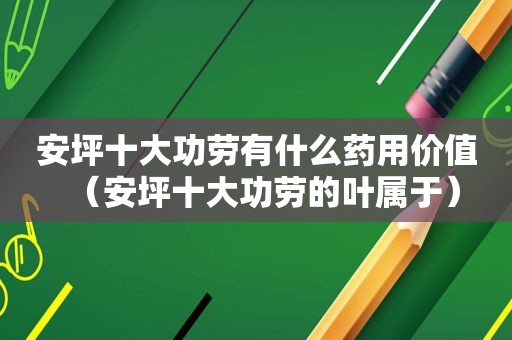 安坪十大功劳有什么药用价值（安坪十大功劳的叶属于）