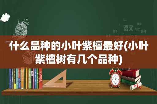 什么品种的小叶紫檀最好(小叶紫檀树有几个品种)