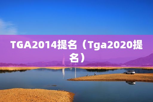 TGA2014提名（Tga2020提名）